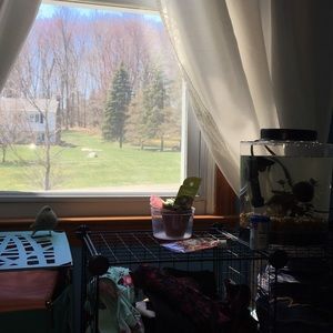 🏡MOVING SALE🏡